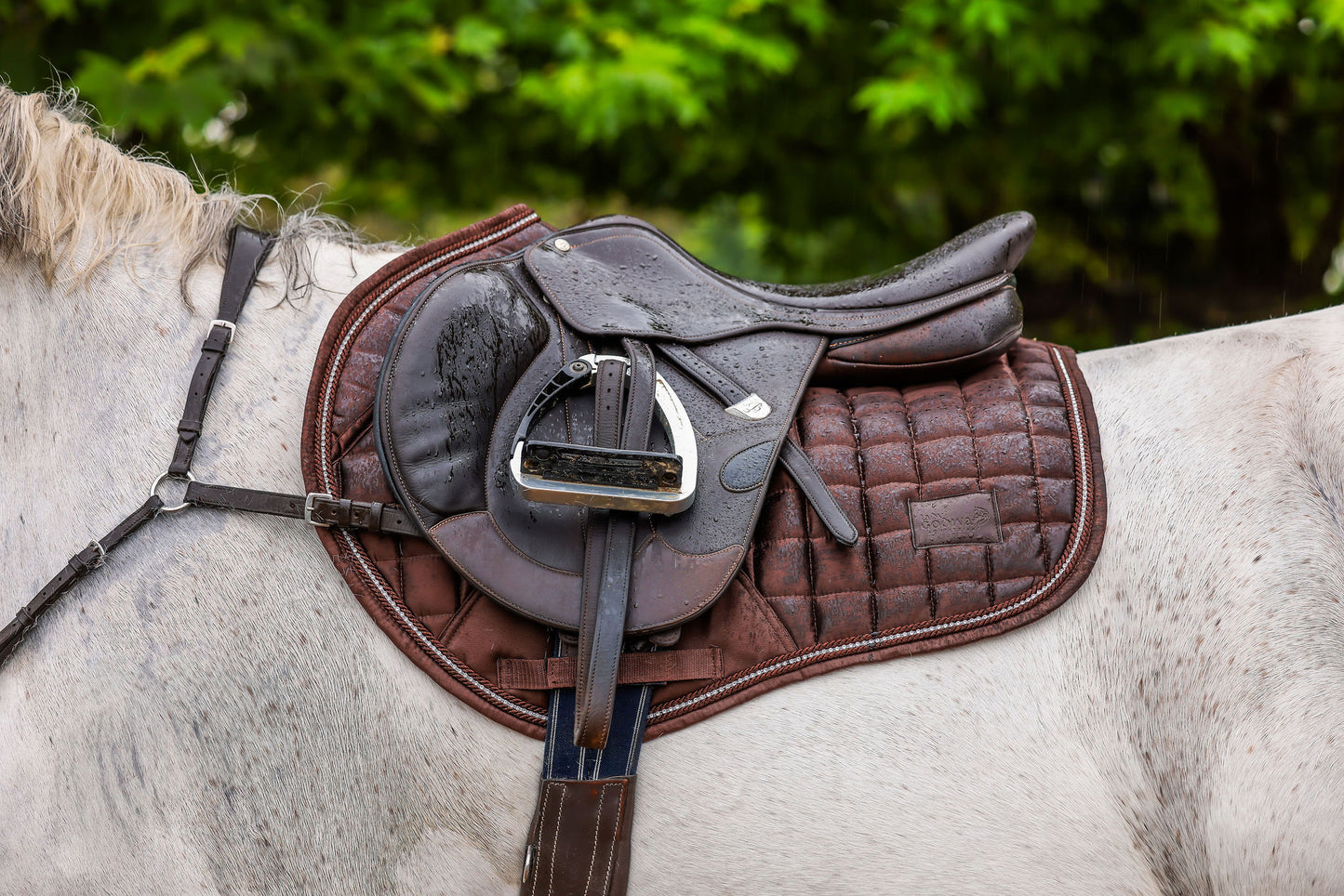 Cocoa Noir Crystal Deluxe Saddle Pad