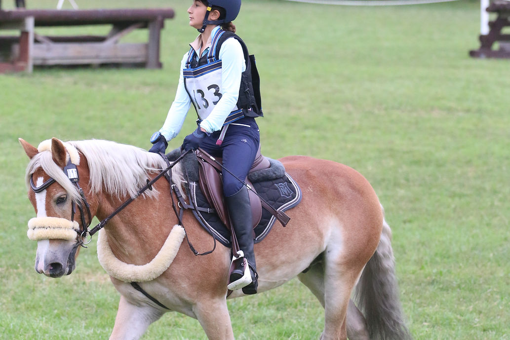 New Sheepskin Bridle