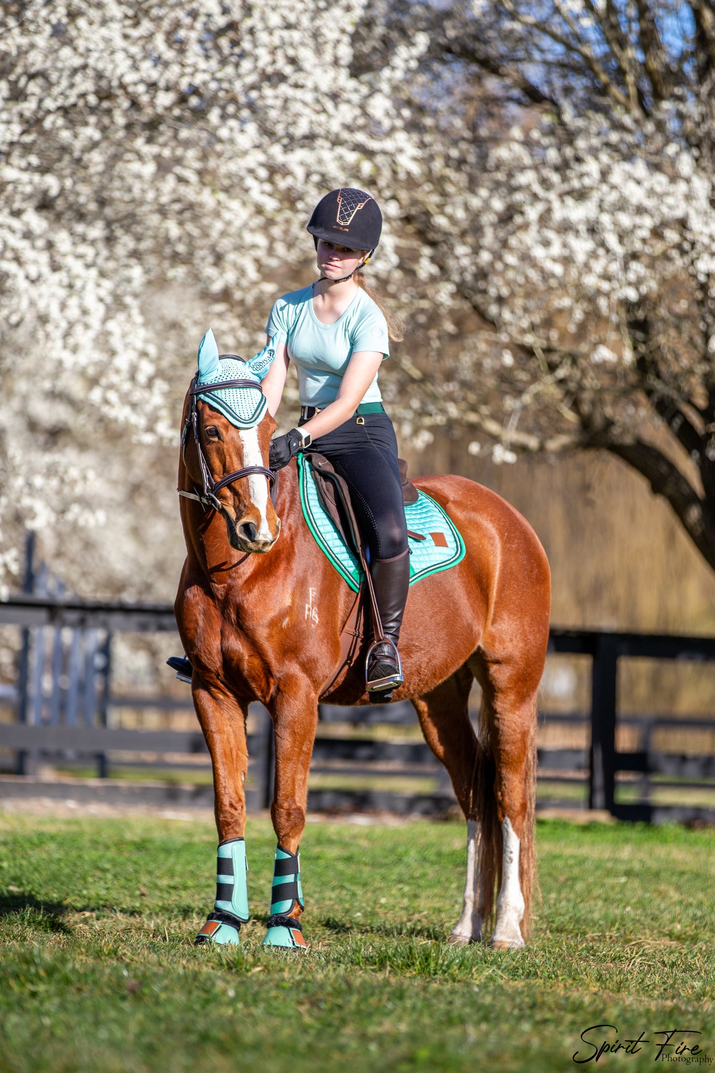 Mint Brushing Boots