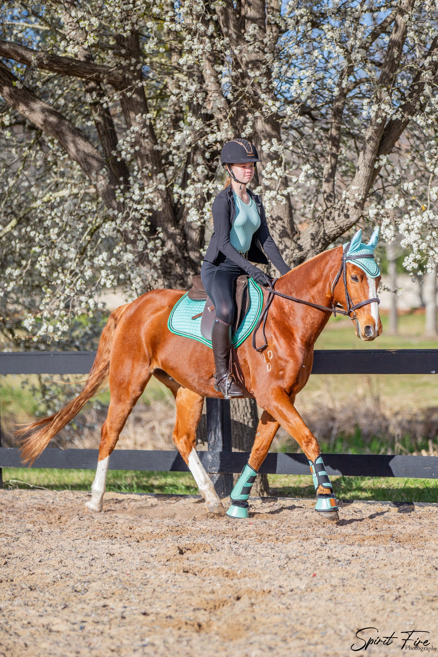 Mint Brushing Boots