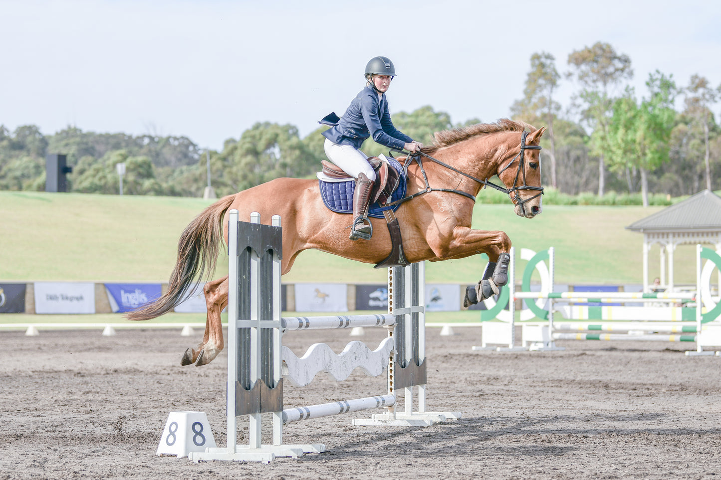 Navy Crystal Deluxe Saddle Pad