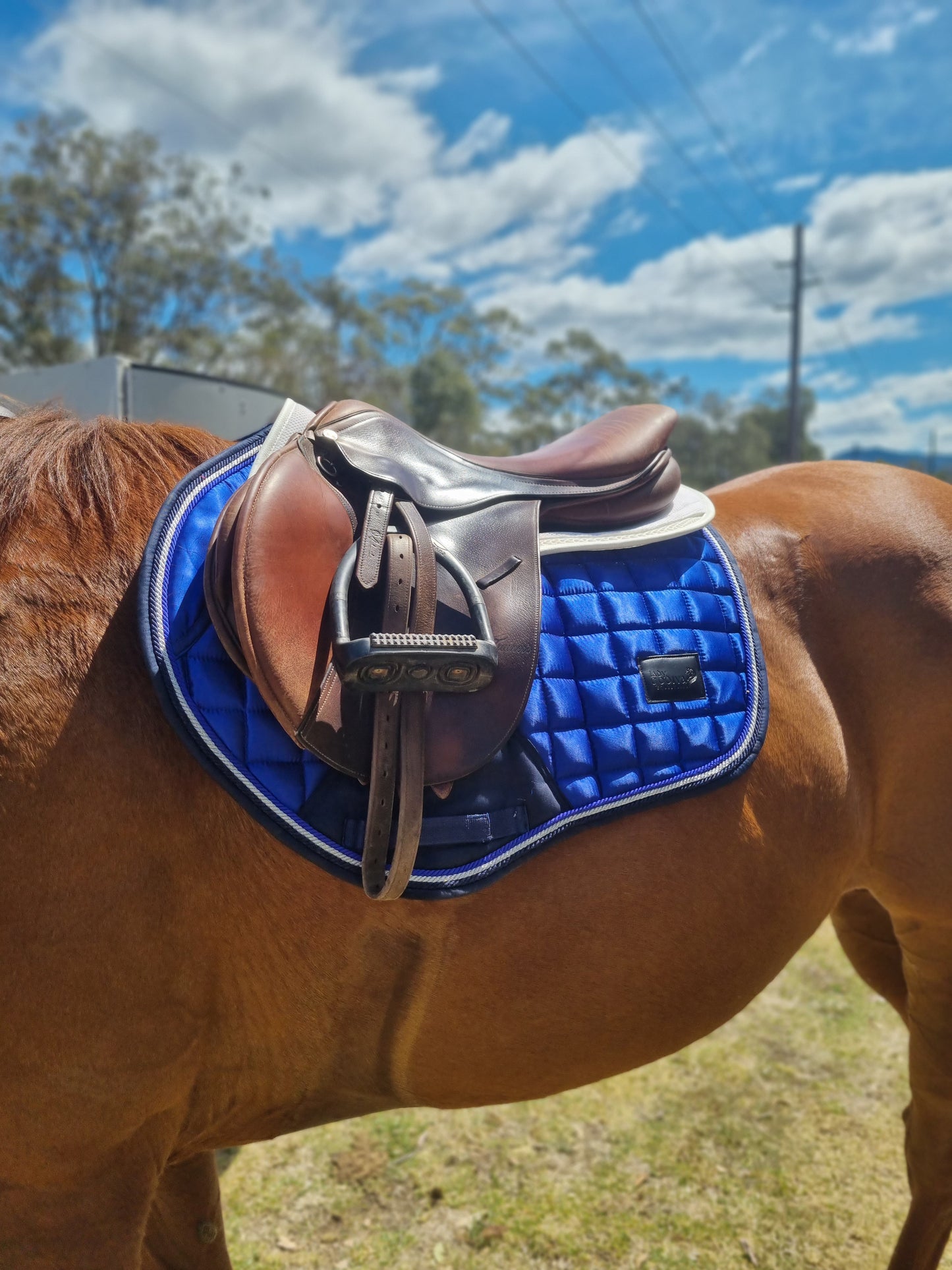 Electric Blue Deluxe Satin Saddle Pad