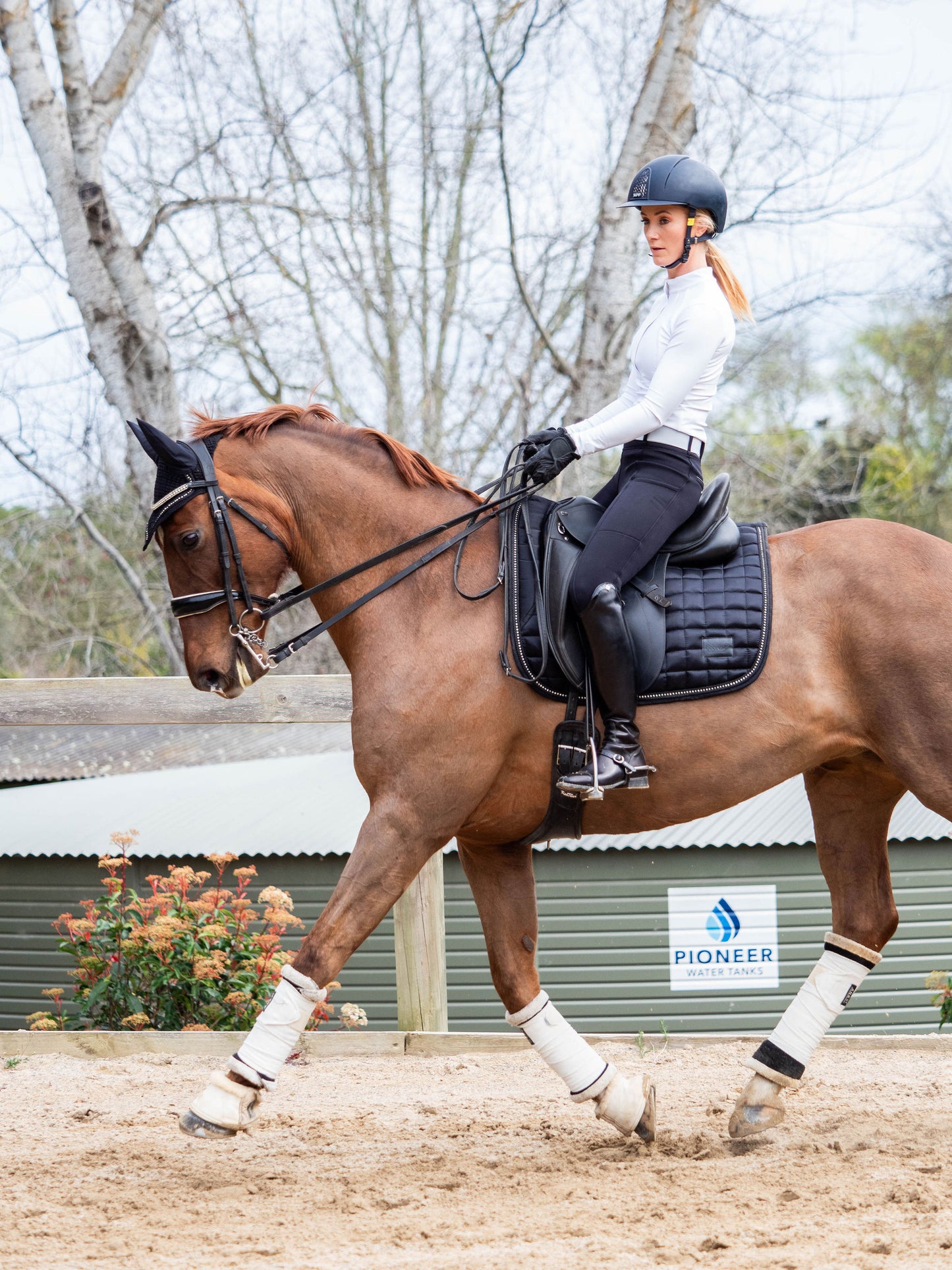 Midnight Black Deluxe Crystal Saddle Pad