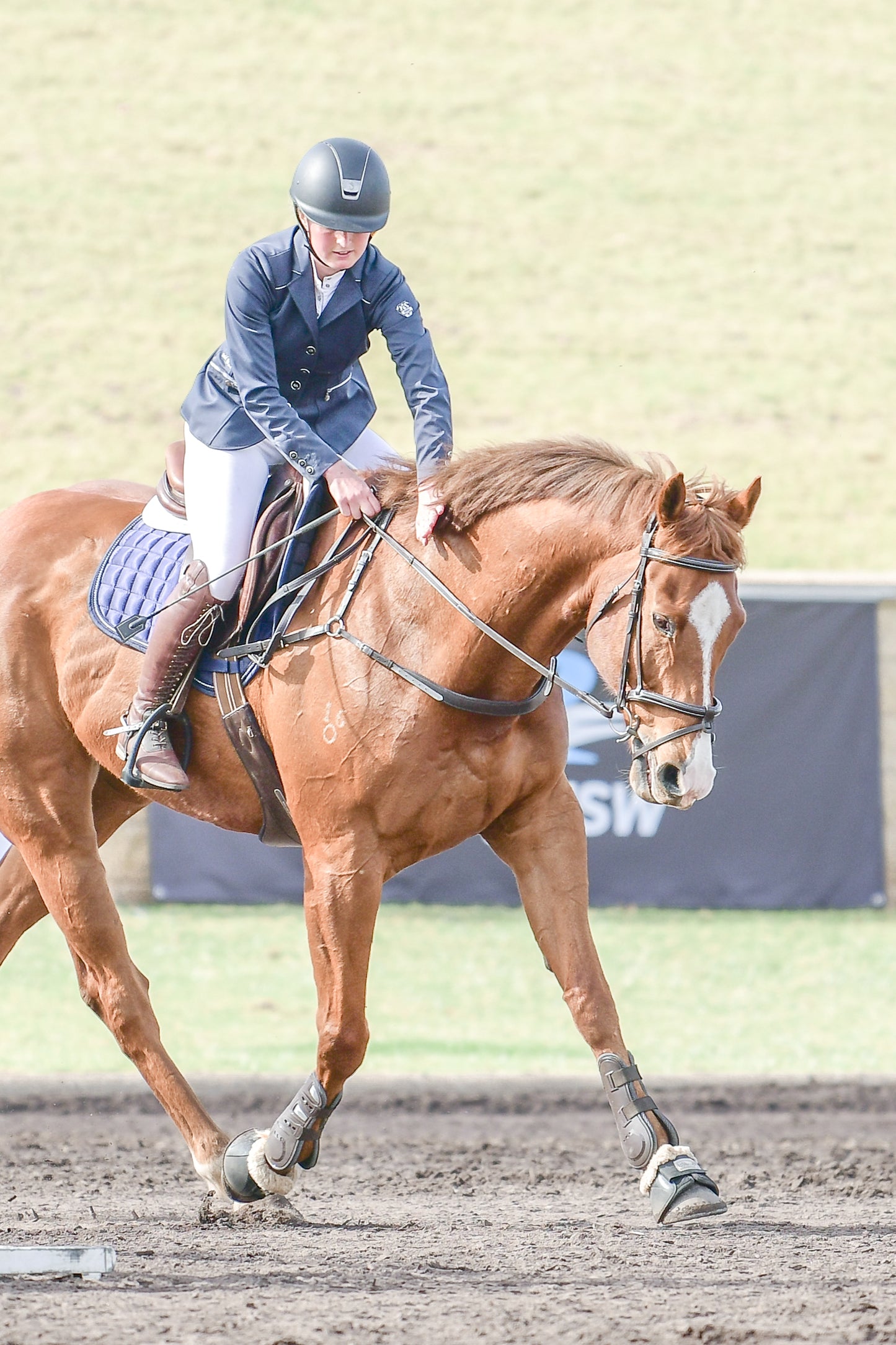 Navy Crystal Deluxe Saddle Pad