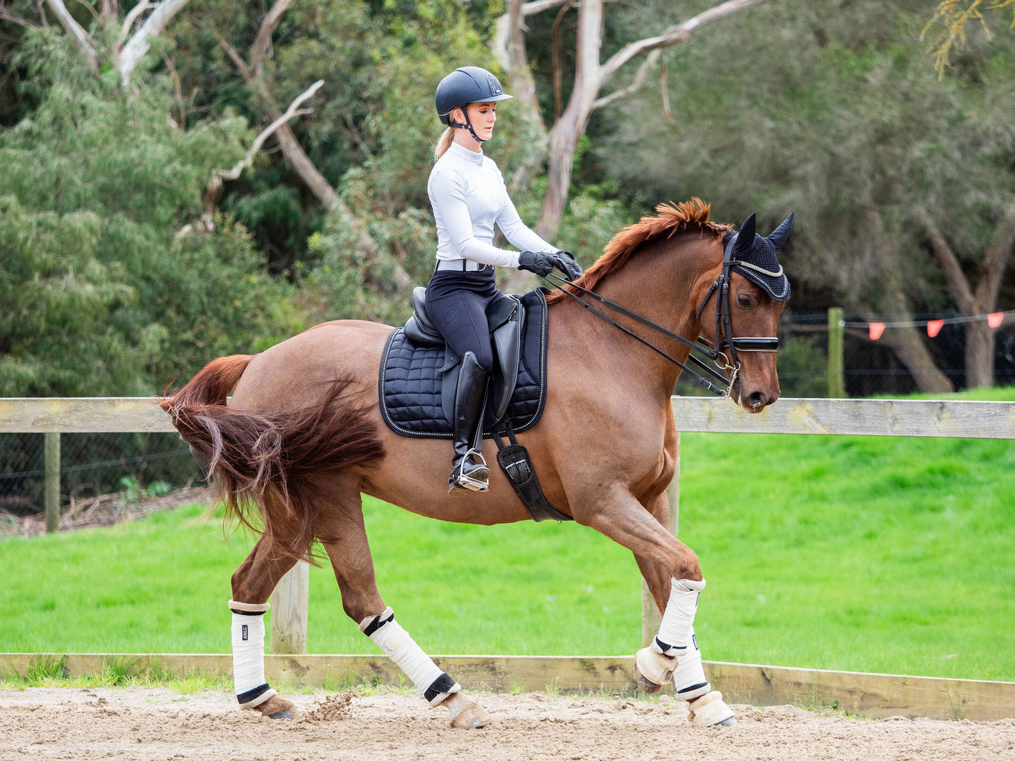 Midnight Black Deluxe Crystal Saddle Pad