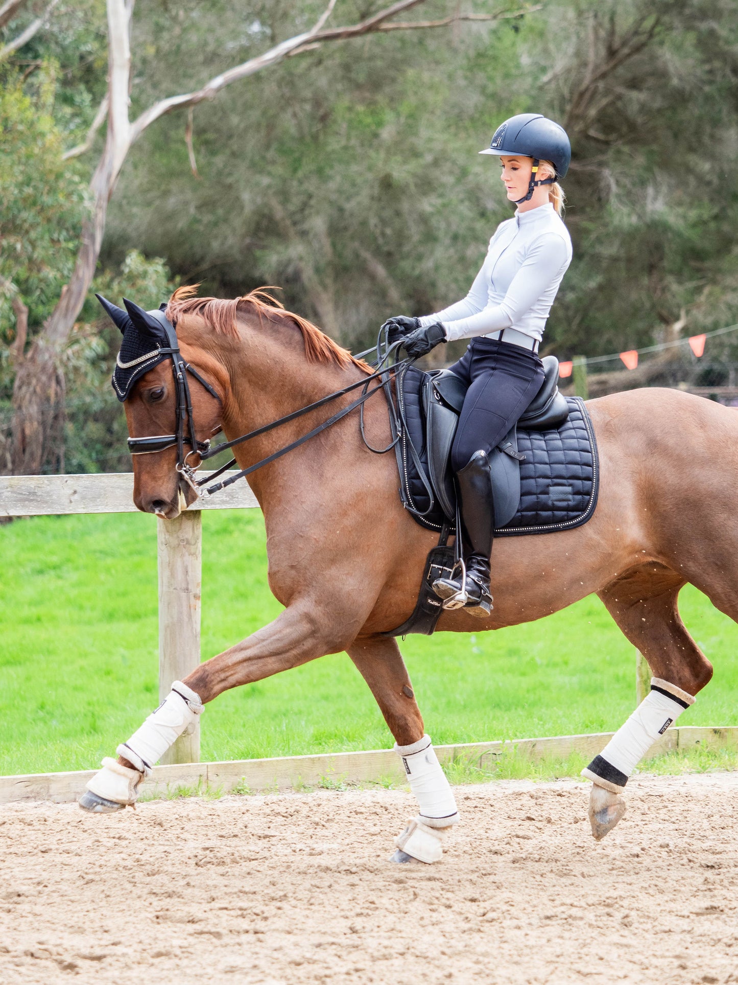 Midnight Black Deluxe Crystal Saddle Pad